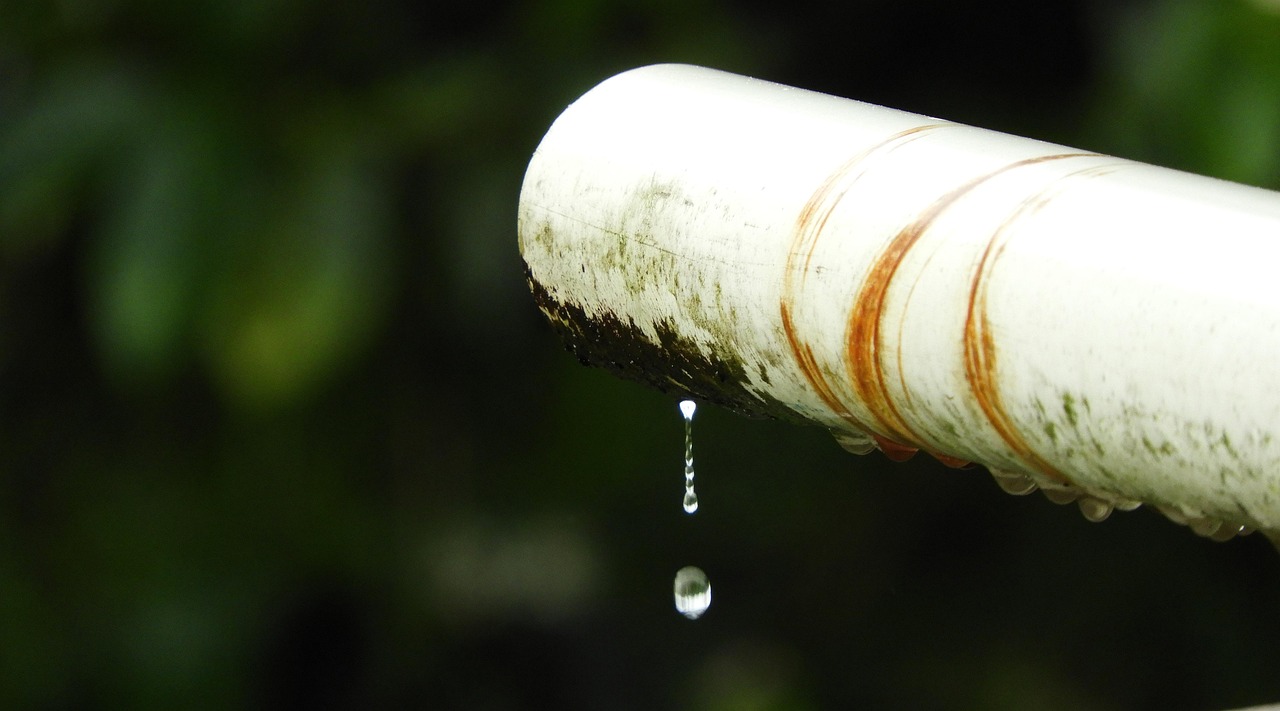 outdoors, leak, rain, nature, colombia